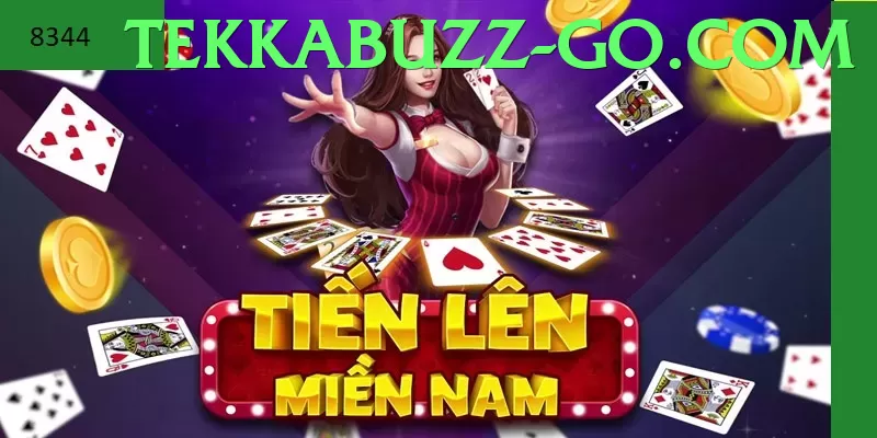 tekkabuzz Card Games - privacy policy summary graphic